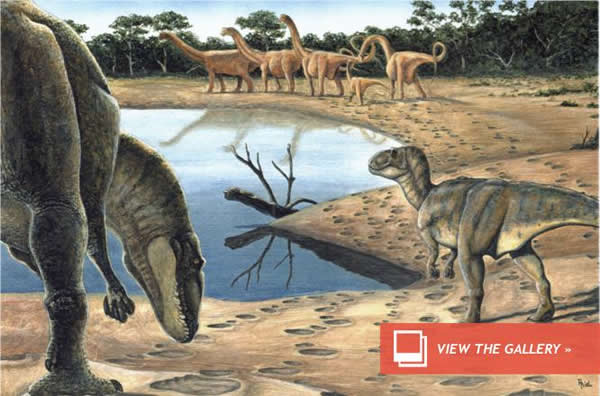 Sniff, sniff. “Yuck! Yep, this mud will do!” Image by Ariel Milani