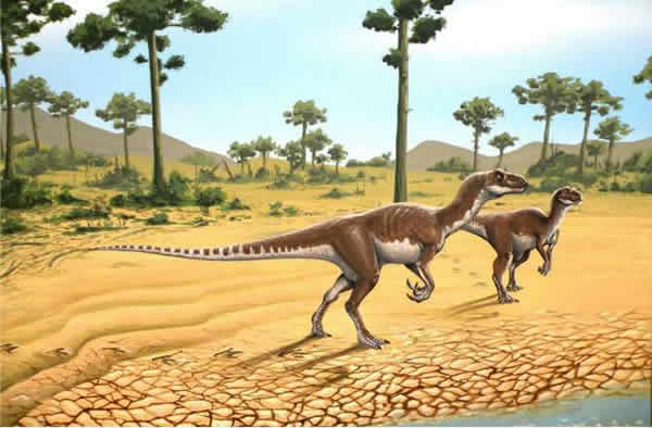 The muddy edges of ponds had not only soft materials for making tracks, but micr