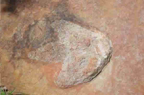 One of the dinosaur tracks found in Sousa Basin. Image courtesy of Ismar de Souz