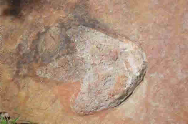 One of the dinosaur tracks found in Sousa Basin. Image courtesy of Ismar de Souz