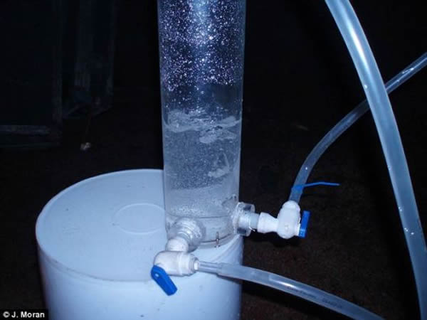 科学家在加拿大地下2000多米处发现远古地下水,距今近30亿年,说明可能在多细胞生物出现前已经存在