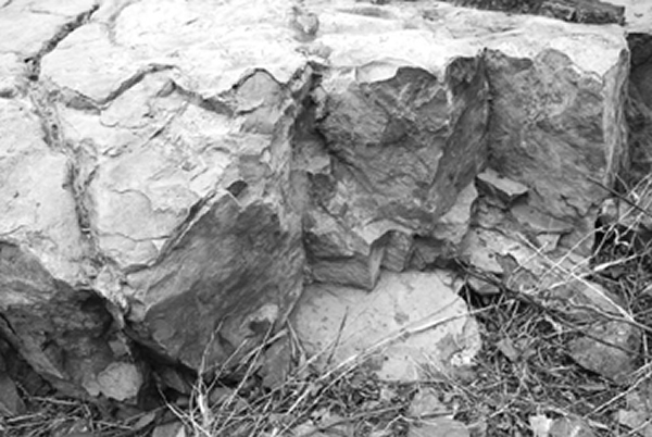 溢出丘纵剖面中有一个鸡蛋大的砾石