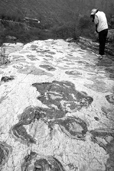 岩石上远古藻类生长的印迹