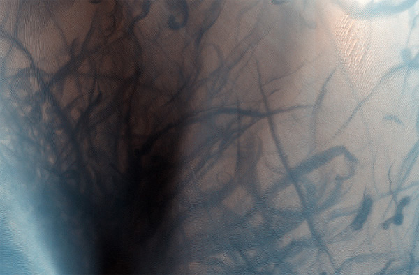 Detail of dust devil tracks in the Nili Fossae region of Mars as imaged by the H