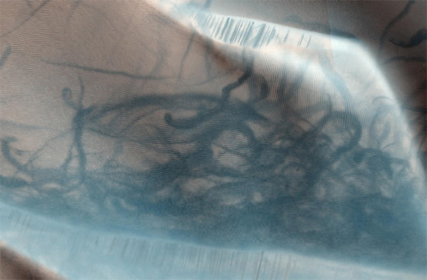 Detail of dust devil tracks in the Nili Fossae region of Mars as imaged by the H