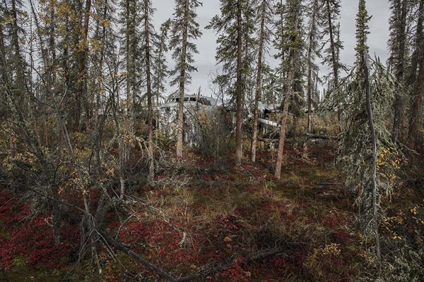 荒野里的飞机残骸