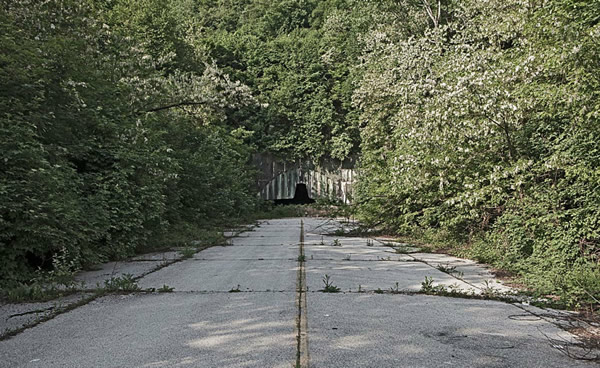 荒野里的飞机残骸
