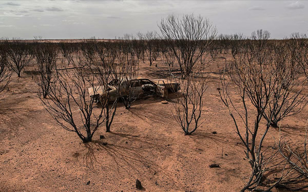 荒野里的飞机残骸
