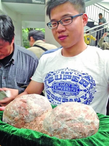 市民带来的恐龙蛋