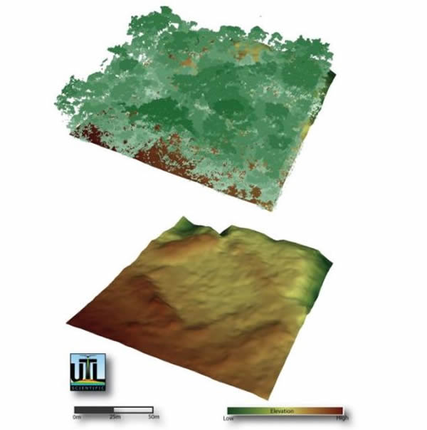 上图为研究人员绘制的林木线,下图为“看穿”树荫后揭示的地面