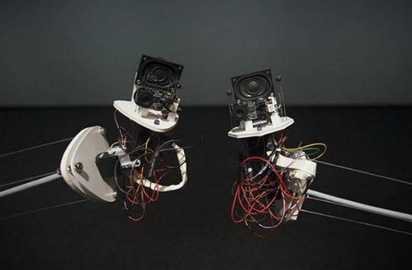 德国艺术家研制能够“彼此相爱”的机器人