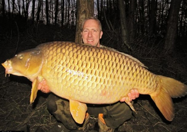 考森再次捕获这条鲤鱼其重量已达54磅