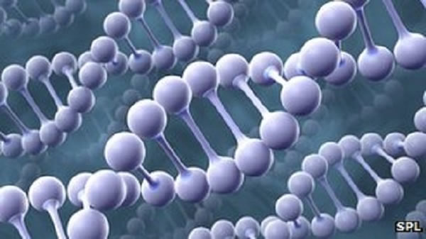 一些人的DNA使他们更可能患上癌症