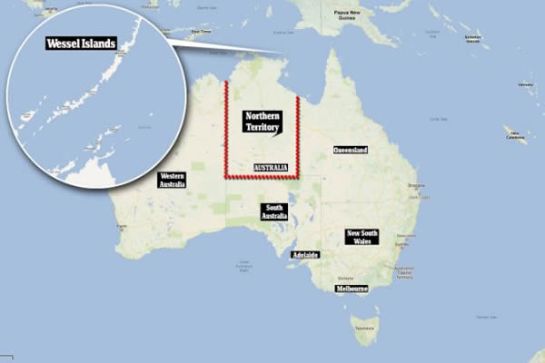 属于“非洲血统”,并来自于历史上的基尔瓦领地