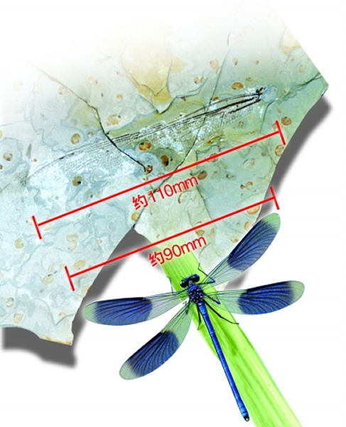 �й���֪�������ѻ�ʯ�����������޸��Z�ѡ�