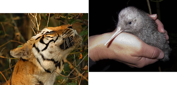 ���������ѱ���Σ����