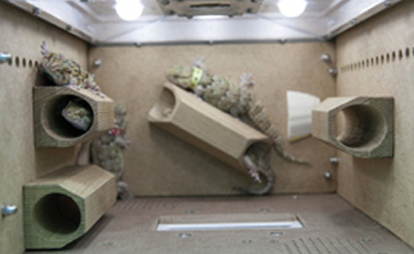 “Bion M1”生物卫星内部