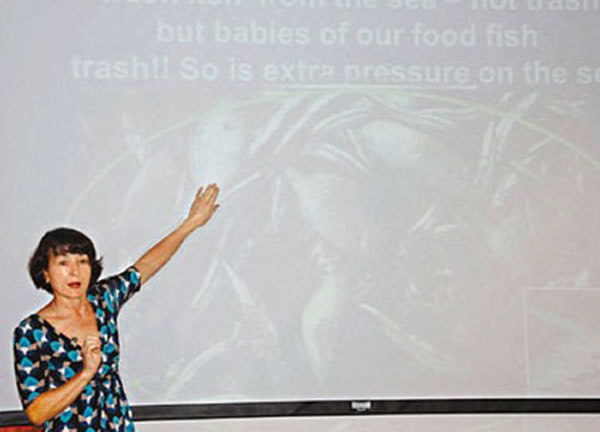 Ѧ���ָ�����ڹ��Ȳ��̣�ȫ������42��ʯ�����д����в��