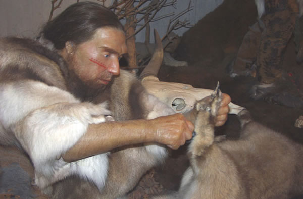 Reconstruction of a Neanderthal male.