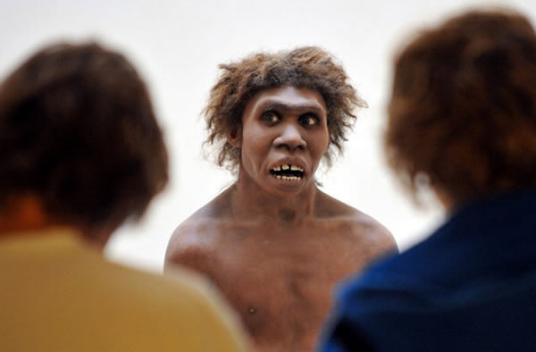 A model representing a Neanderthal man on display at the National Museum of Preh
