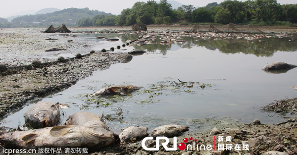 ����ע��ˮ����ǧ���㼯������