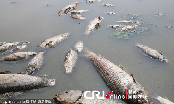 ����ע��ˮ����ǧ���㼯������