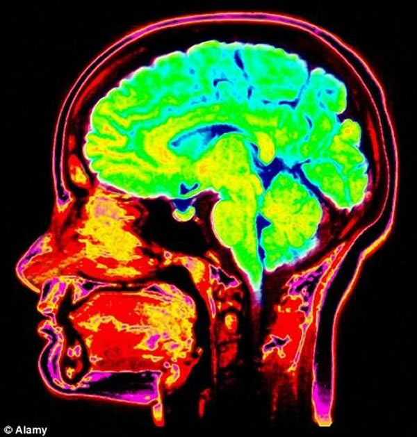 ��ѧ����Ϊ�������������ڴ��Լ�������ϸ��������������ζ�ŵ�ǰϸ��֮��ؼ��������⵽�ƻ�