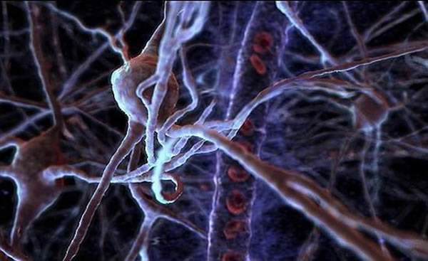 ���֮�£���ͯ�ɳ�֮���Լ������˵Ĵ���ϸ���������������ȶ����Ӷ��ܹ��ܺõش洢����