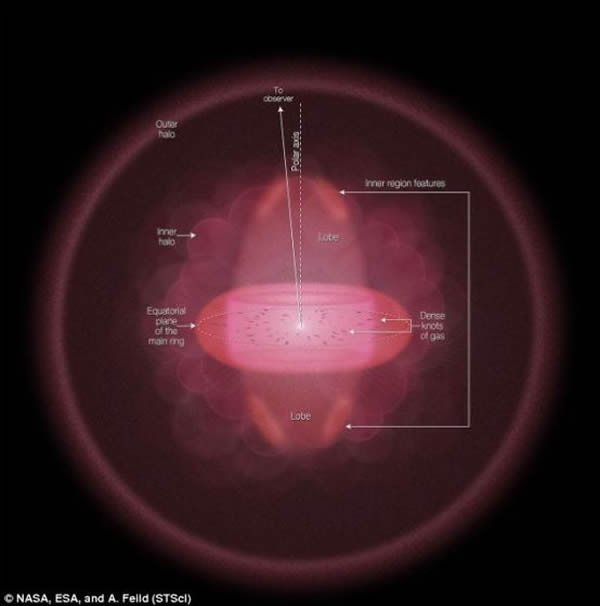 这幅图像展示了环状星云的侧向几何外形和结构,星云的宽大晕轮和内部区域,低密度物质团向外伸出,远离地球,中央的白点是白矮星产生的辐射,导致氦气发光