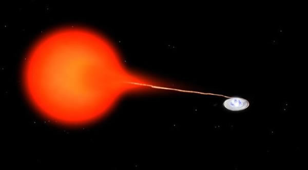 SS�����ϵͳ��һ�����ܵİװ��Ǻ�һ�ŵ������ĺ찫��