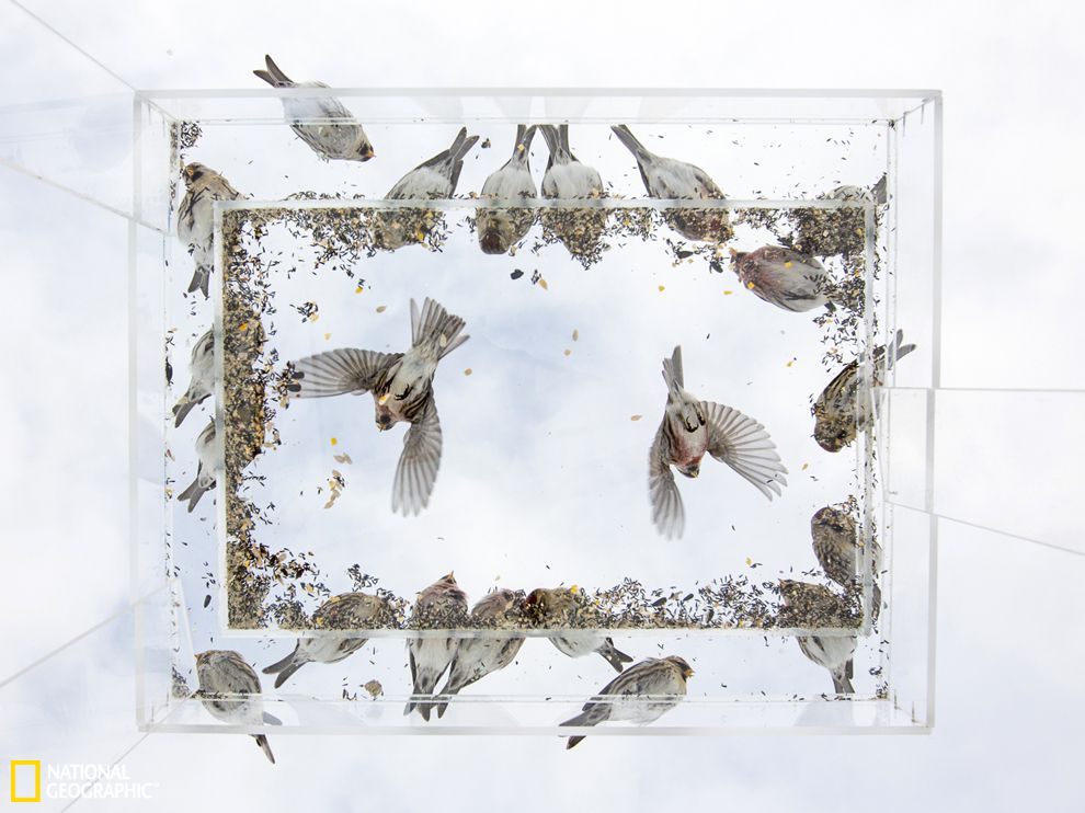 ����˹�Ӱ����춥ȸ