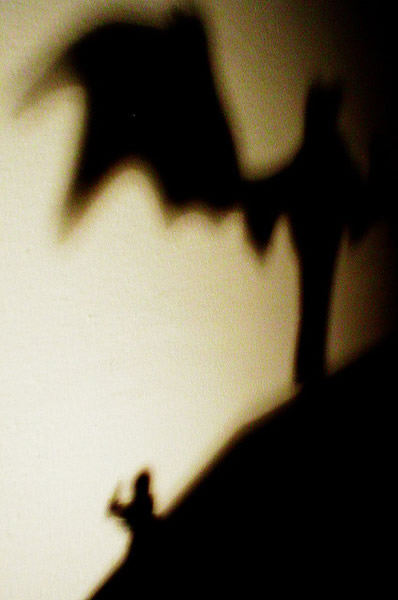 ���ǵ��������