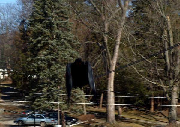 ���������������ݵ������