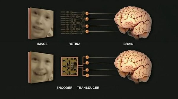 ��ѧ���ƽ�����Ĥ������Ե���Ѷ���룬δ���ɽ��Ÿ߿Ƽ��豸������Ĥ����ä���ؼ�������