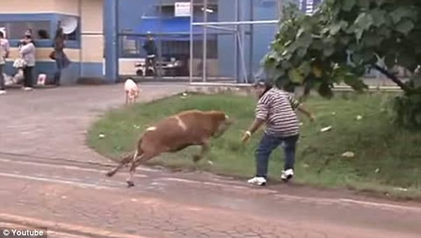 视频 路人/巴西“愤怒公羊”袭路人