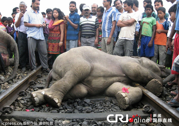 ӡ�ȸ��ٻ�ײ����ͷ����