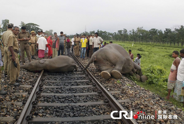 ӡ�ȸ��ٻ�ײ����ͷ����