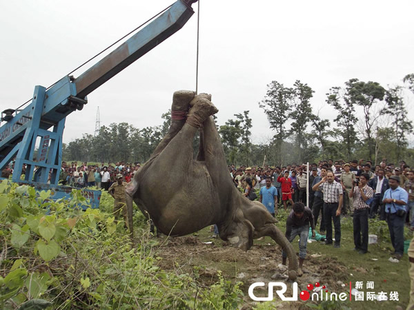 ӡ�ȸ��ٻ�ײ����ͷ����