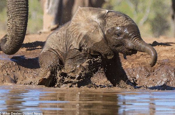 ������Ⱥ�����������������