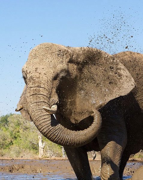 ������Ⱥ�����������������