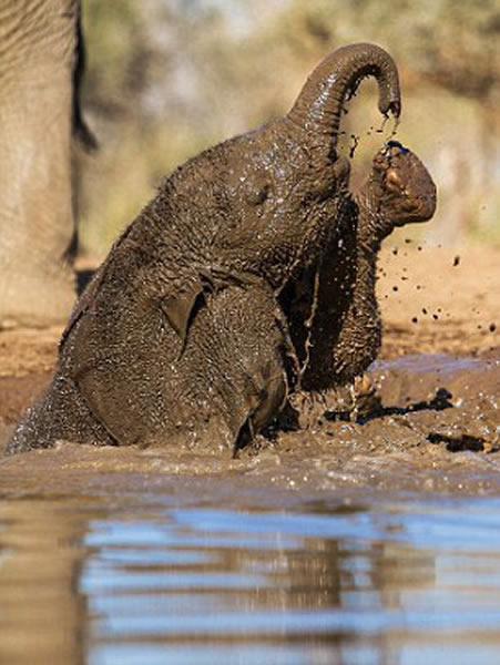 ������Ⱥ�����������������