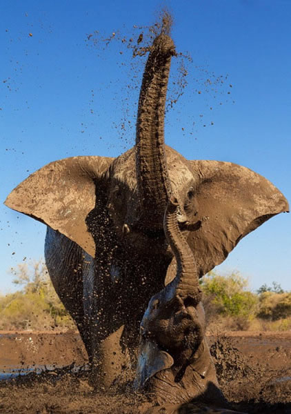 ������Ⱥ�����������������