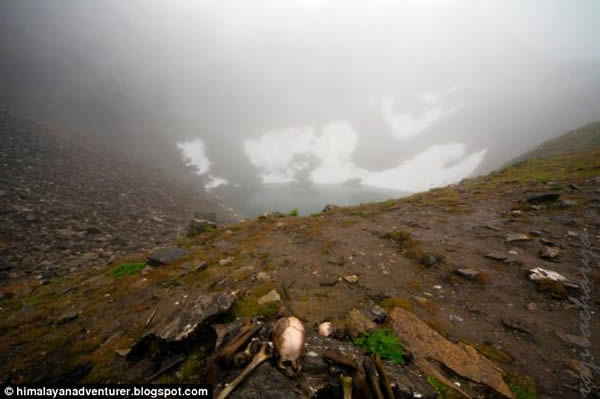 �ҿ�ӡ�ȱ������˹Ǻ���֮��