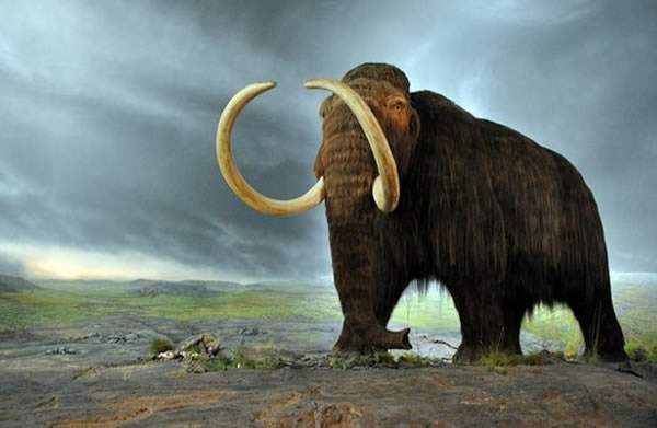 ����˹��ѧ��С�鷢�ֵ�������ѪҺ���������ڸ������ֱ��Ӿ��ޣ������о���������Ȼ�޷���ȡ��������Ŵ�����