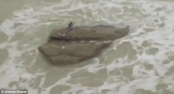 ������������Ƶ���������㣺�µ�֤�ݡ����������Ǹ�������