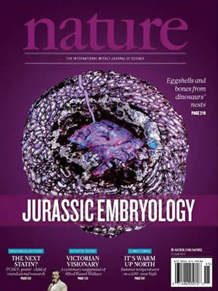 《中国早侏罗纪恐龙胚胎学含有机残留物的证据》于4月登上国际期刊《自然》封面