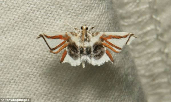 ɳ֩귢2005̩꣬ڣԵİצ֩ͼ