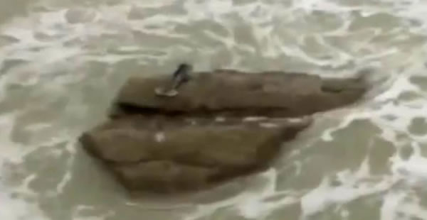 ��ɫ���غ�С����ķ�塰�����㡱������