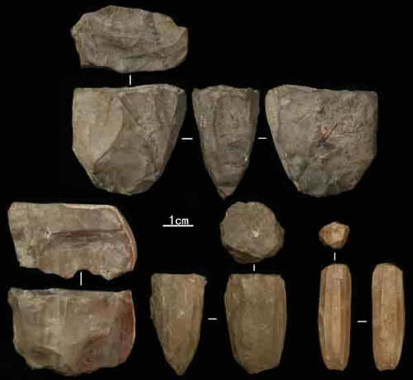 水洞沟第12地点出土的细石核