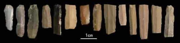 水洞沟第12地点出土的细石叶